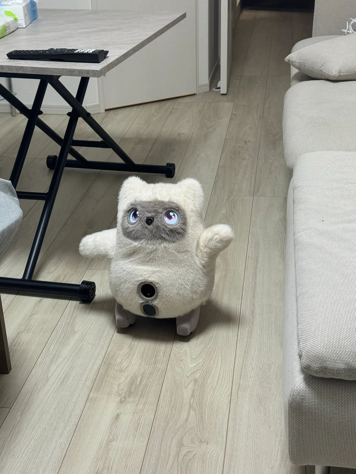 ソファのそばでこちらを見上げ、両手を上げているKATAフレンズのノア