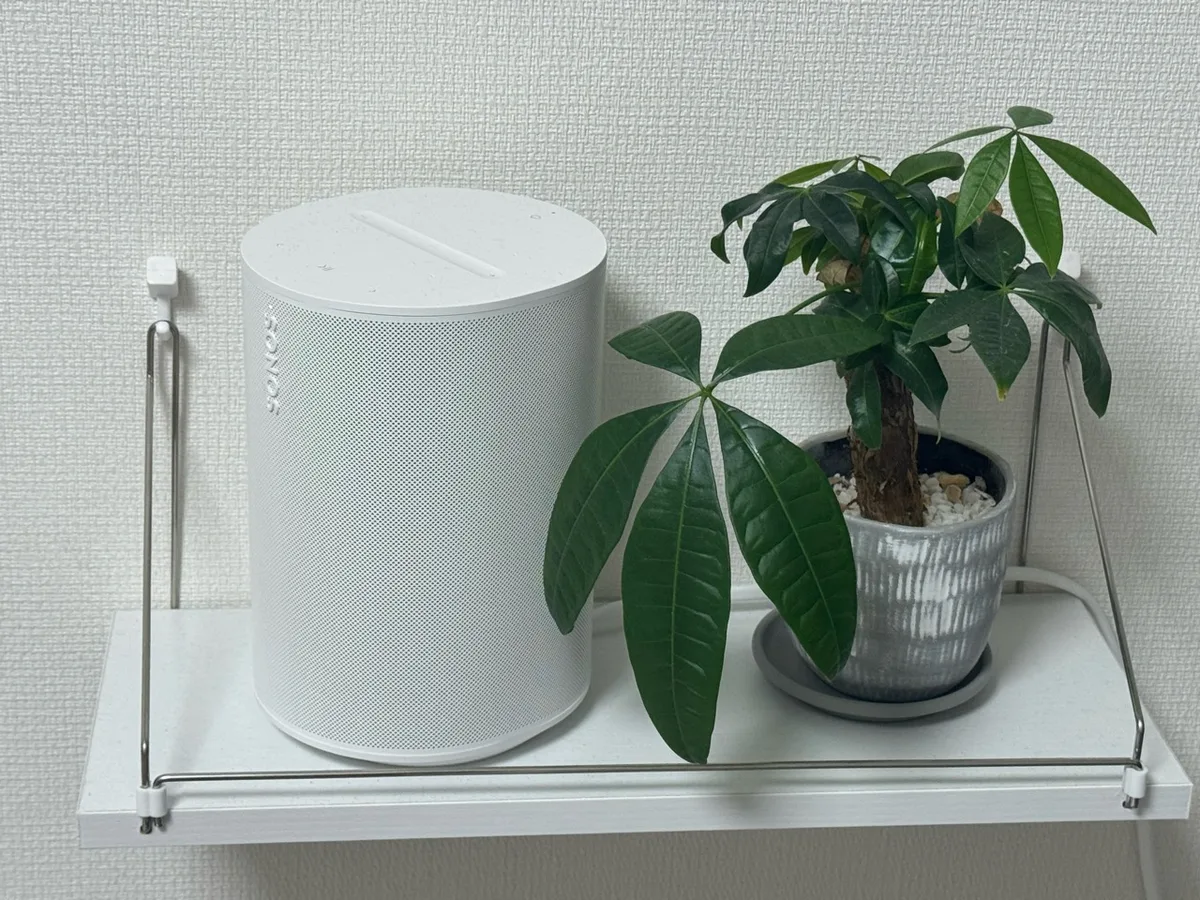 観葉植物と並んで白い壁付け棚に置かれたSonos Era 100